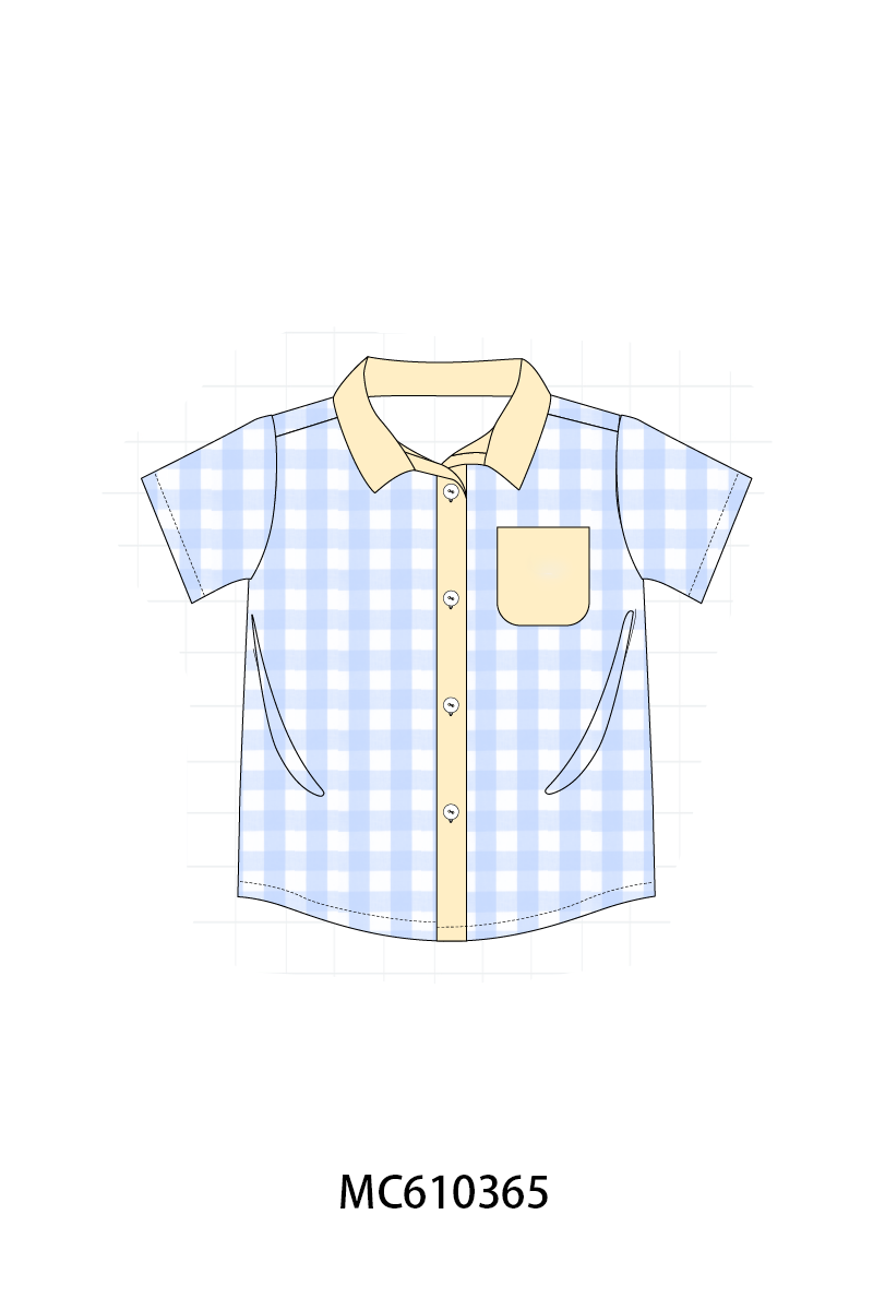 PO108 Blue gingham boy collection - closing 10/26 - ETA march
