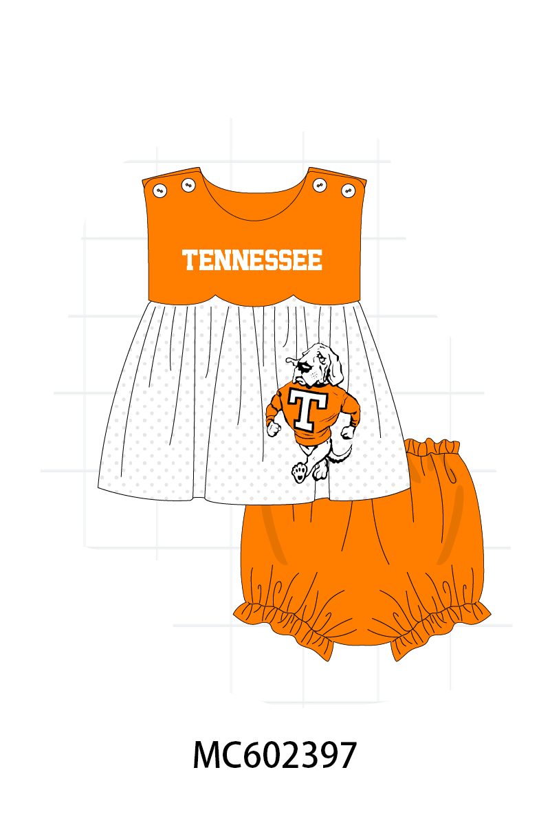 PO82 Orange Tennessee embroidery collection - closing 3/2 - ETA July