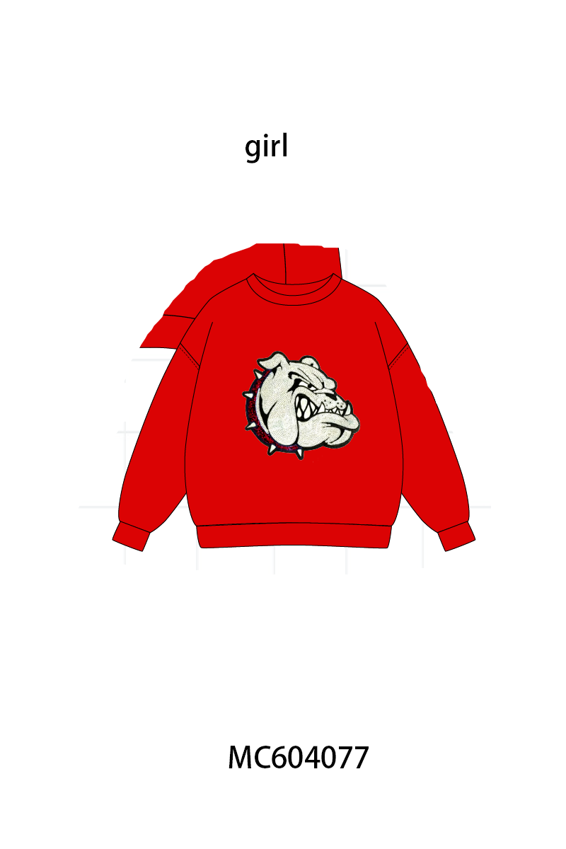 PO86 Collegiate sequin pullover collection 1  - closing 4/13 - ETA early September