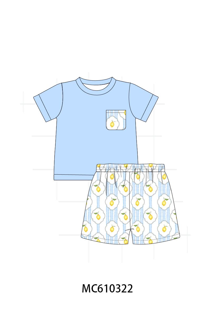 PO108 Blue lemon print stripe collection - closing 10/26 - ETA march